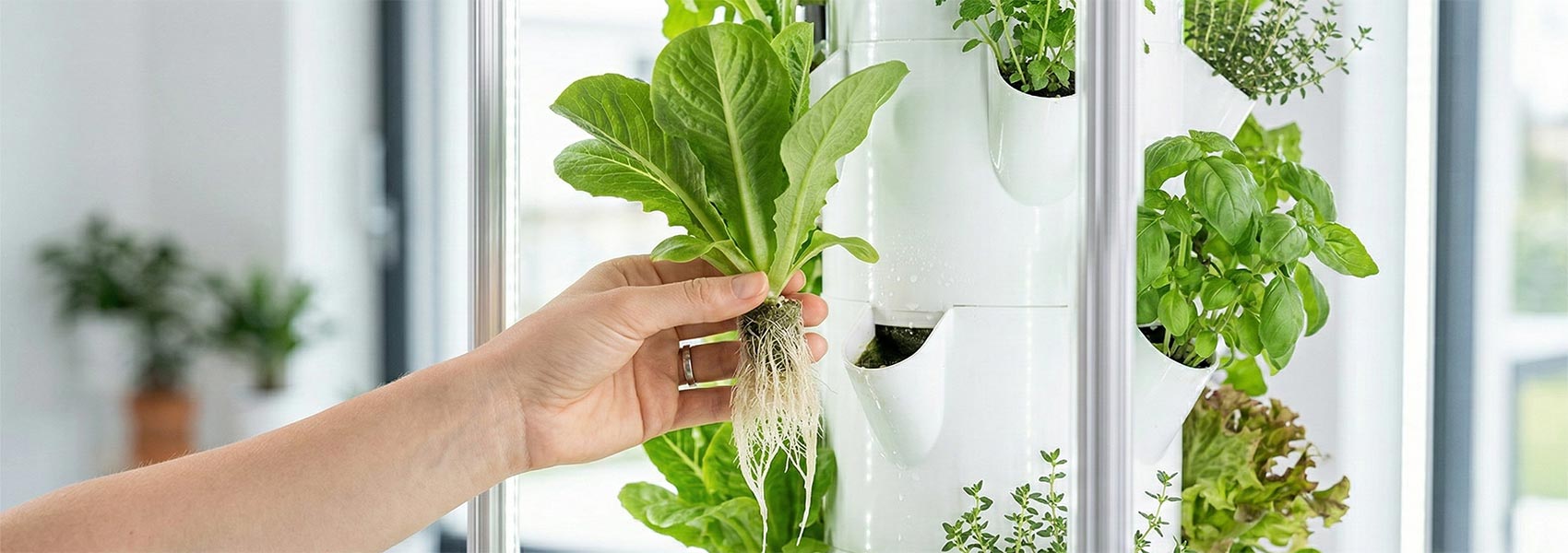 Coltivazione ortaggi e verdure in torre idroponica