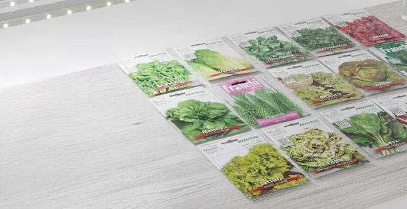 semenzaio in casa idroponico semi per germinazione